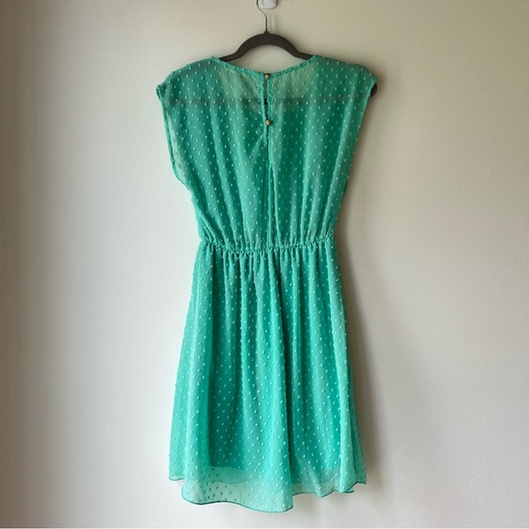 Tea n Rose Green Swiss Dot Cap Sleeve Elastic Waist Dress Small Made in USA - Picture 10 of 11